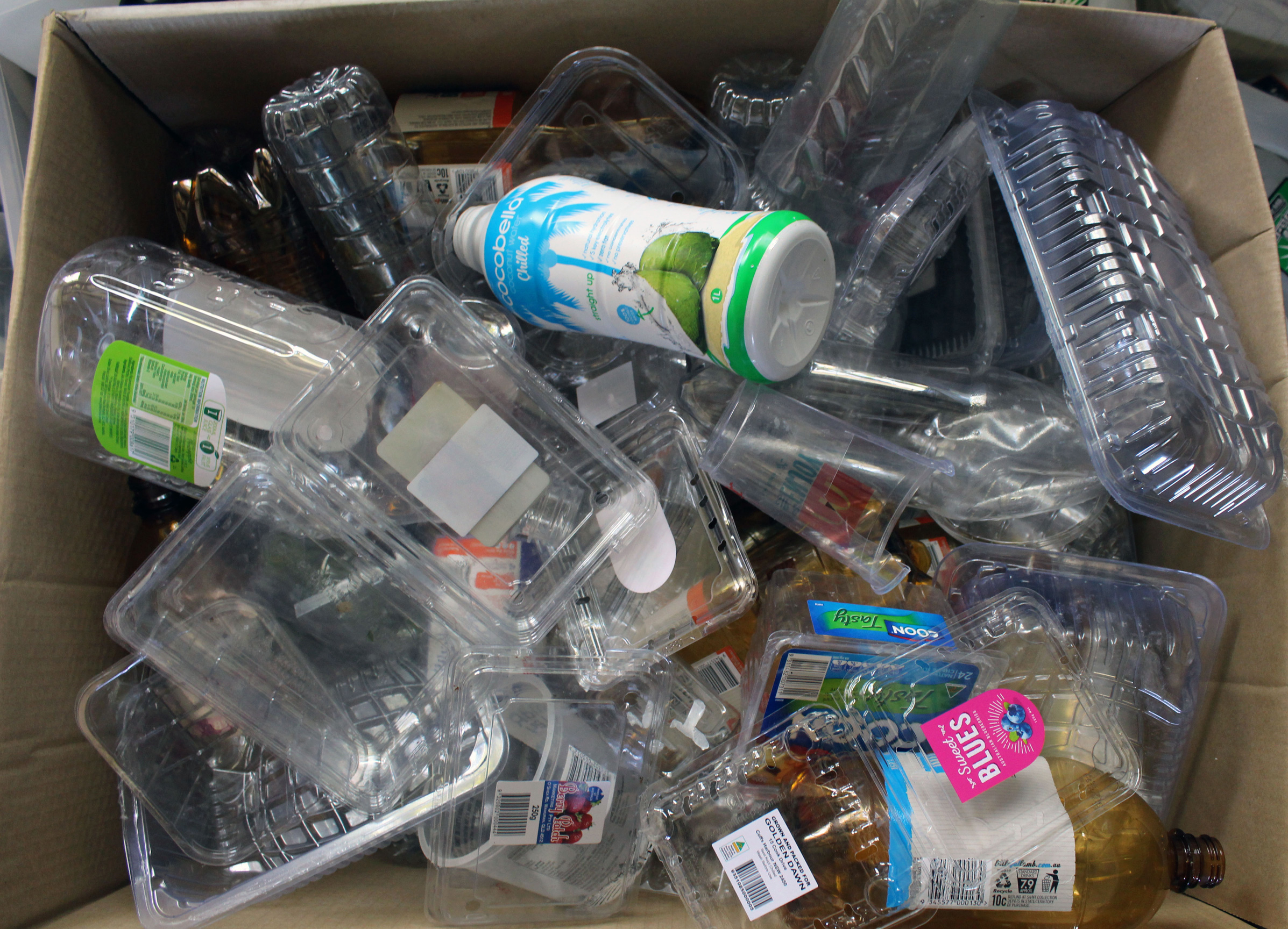 Daily Plastic in home is killing us TaazaDaily365