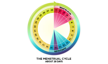 Menstrual Cycle TaazaDaily365