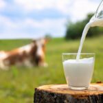 Farm-Raw-Milk TaazaDaily365