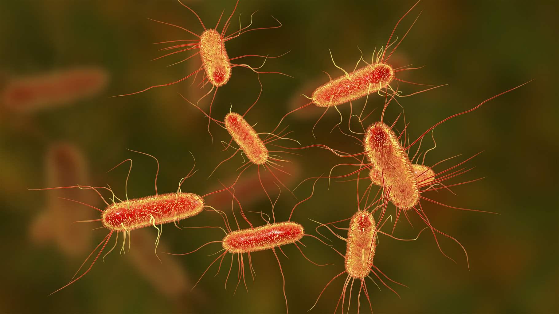 AI Tool to Outsmart Superbugs Antibiotics TaazaDaily365