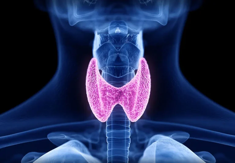 World Thyroid Day 2025 TaazaDaily365 Health