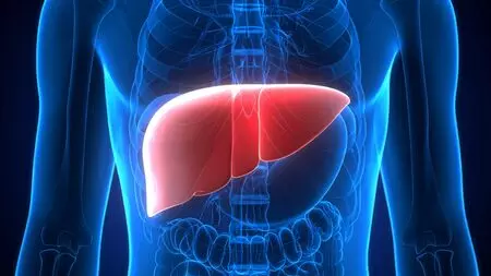 Study Shows Plastics is Harming Liver TaazaDaily365 Health